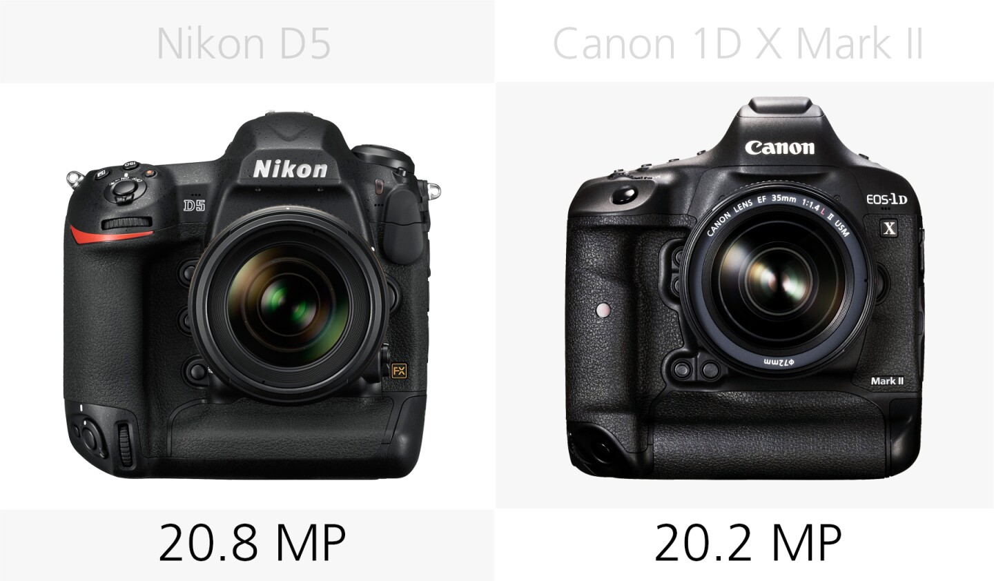 Megapixel comparison of the Nikon D5 and Canon 1D X Mark II