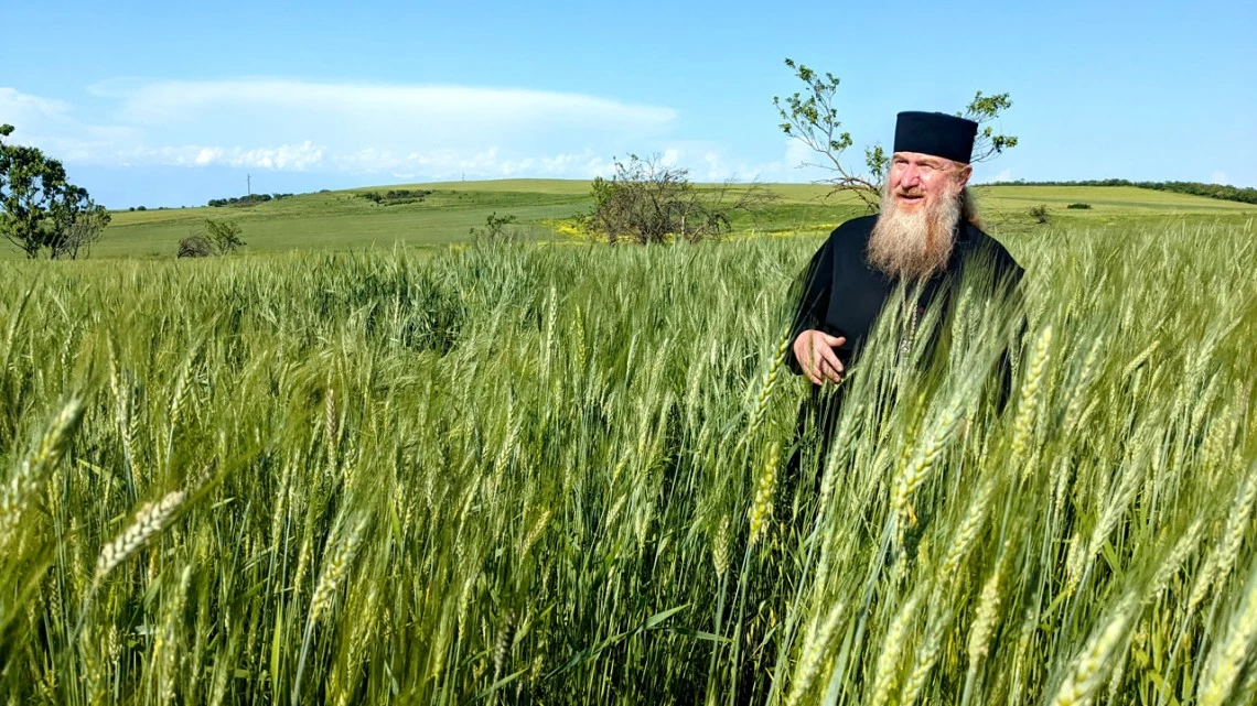 Nikoloz Lomsadze, senior pastor of a church in the eastern Republic of Georgia, looks over his field of mixed barley and wheat