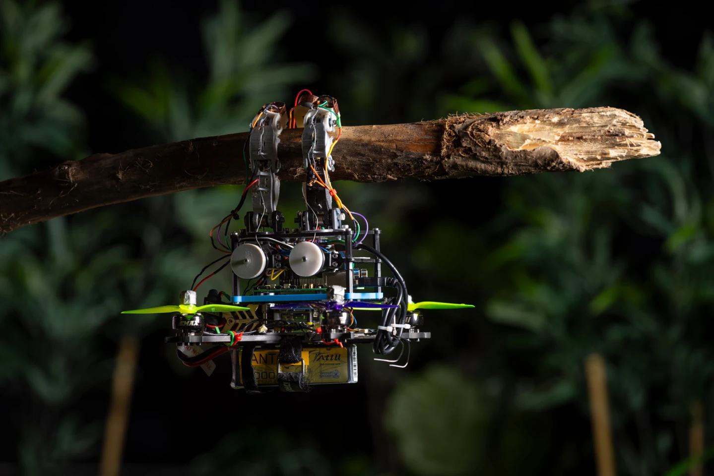 Bird-inspired drone relies on sense of touch to firmly grasp branches