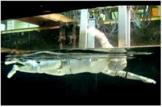 Swumanoid is designed to reproduce a human swimmer's movements (Image: Tokyo Institute of Technology)