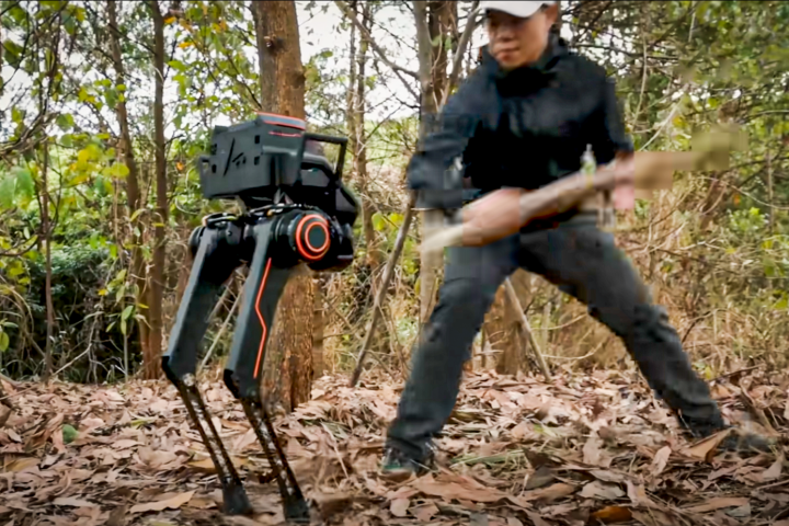 A LimX engineer belts the P1 Biped's knees with a fallen tree branch