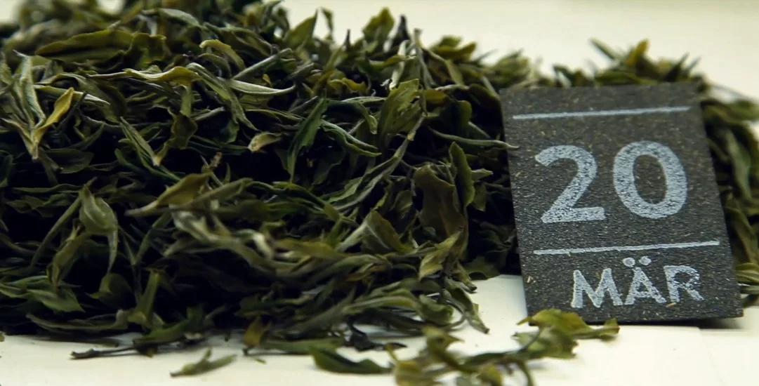 A unique blend of tea leaves is compressed for each day of the year