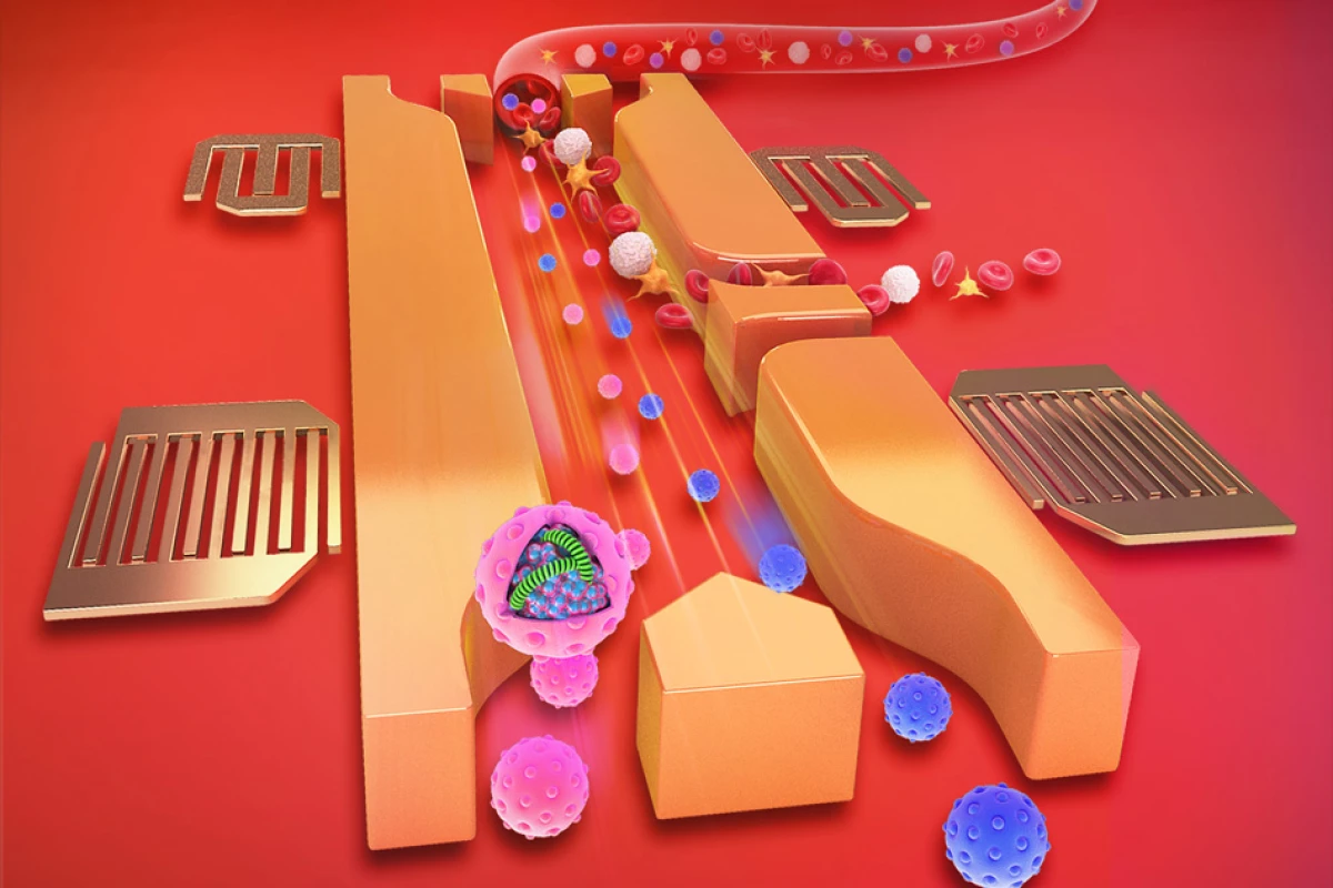 This illustration shows how the exosomes (represented by pink spheres) are separated from other materials by the application of sound waves