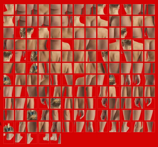 The Fleshmap by Viegas and Wattenberg broke the human body down into parts and had the public visit a website to rate the desirability of each part. They then created a heat map showing the "hot spots" of preference according to the data gathered