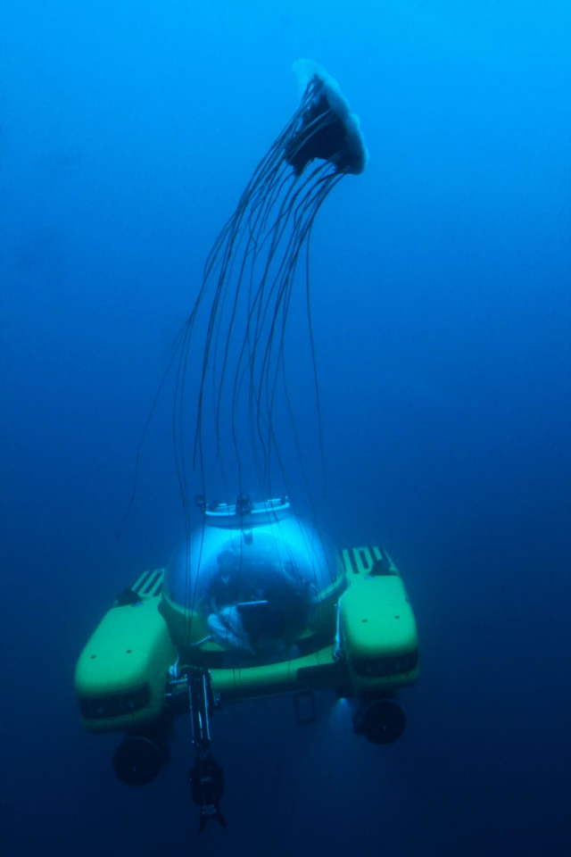A Triton 1000/2 meets a jellyfish off Antarctica