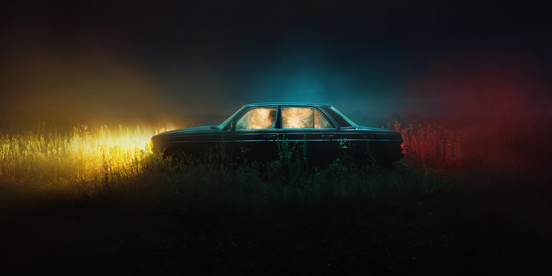Shortlist, Creative, Metamorphosis. This image was taken in the summer of 2019 in the Baltic states, Russia