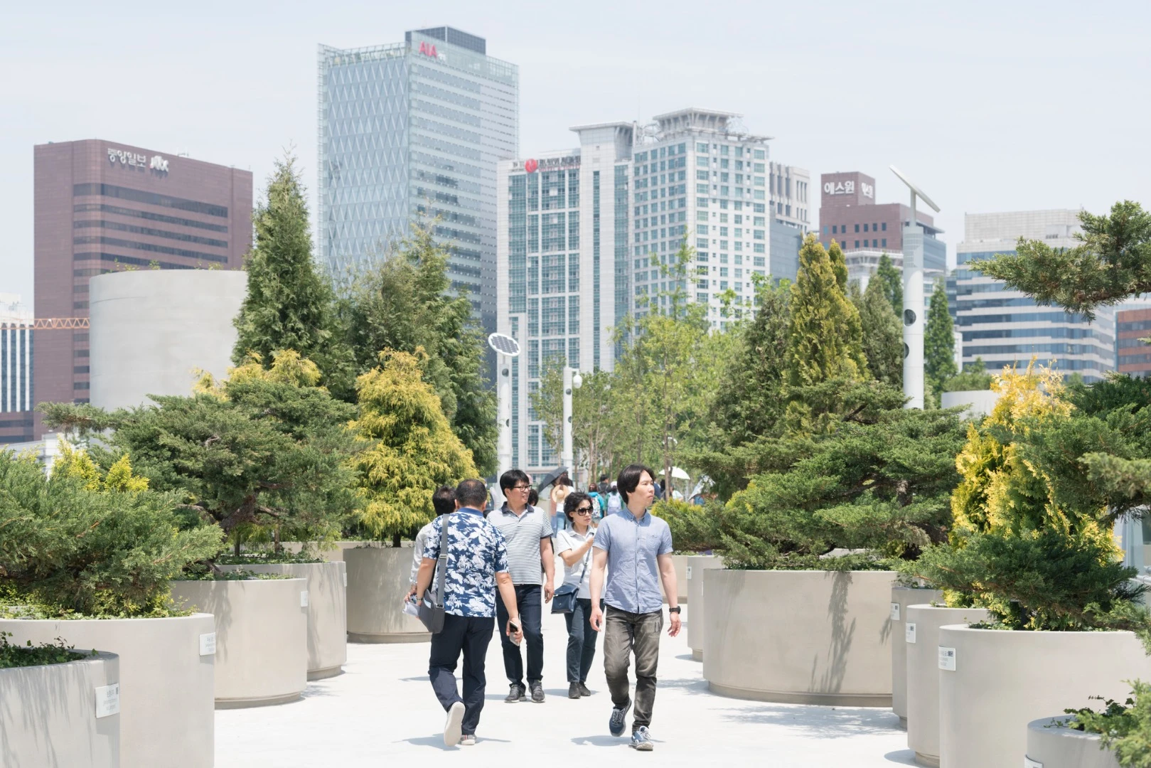 In some cases, the Seoullo 7017 Skygarden's 24,000 plants may take up to a decade to reach their full height