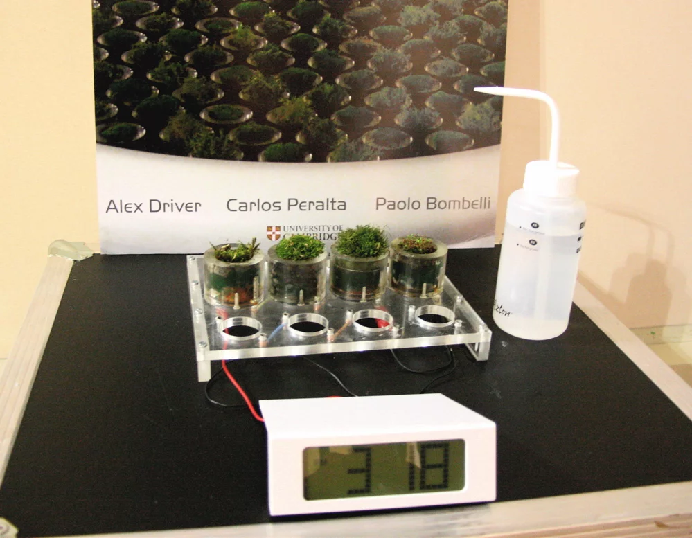 Electrons are captured by conductive fibers inside the Moss Table and put to use (Photo: Bridget Borgoello/Gizmag)