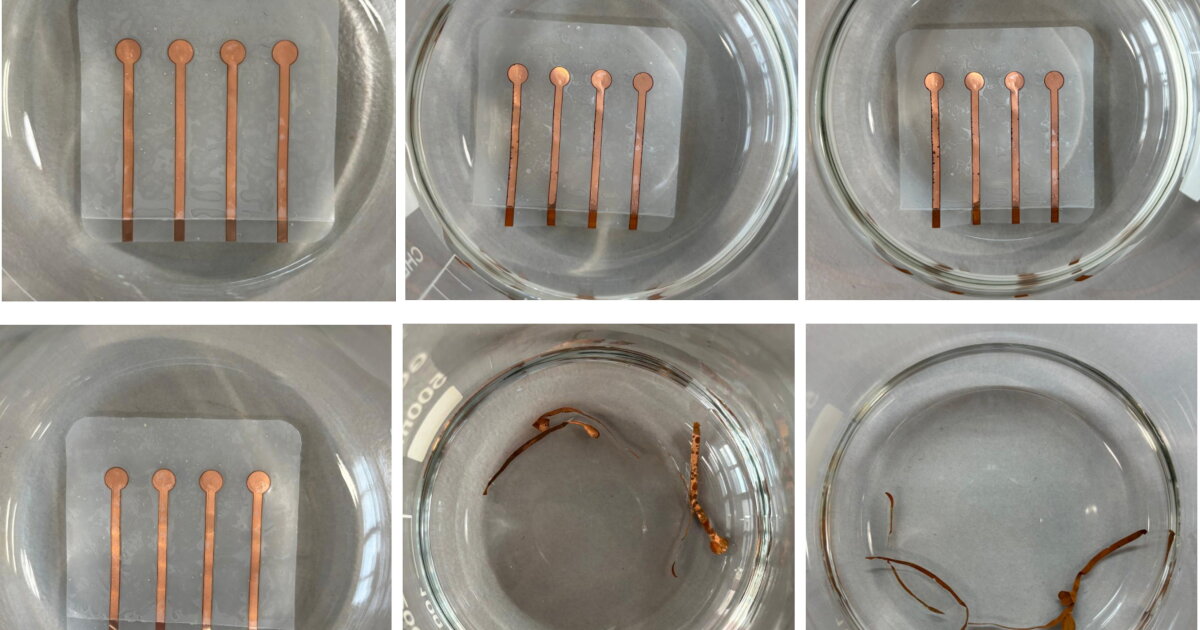 Bacteria-boosted 'living plastic' breaks down on command