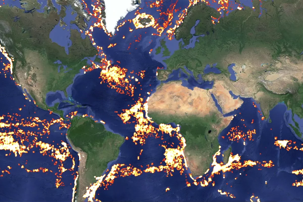 Google helped develop the new tool, which aims to help tackle the problem of overfishing