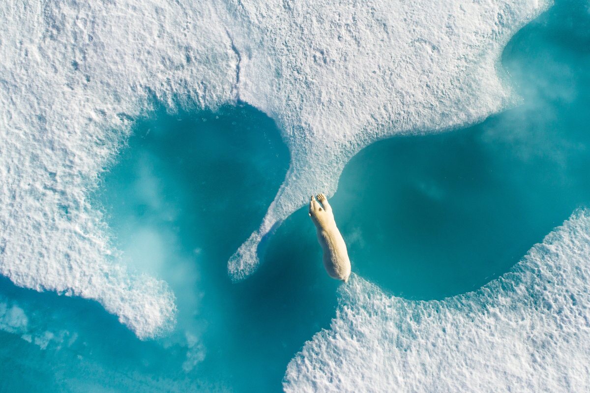 A polar bear skips between icebergs in the Arctic circle. This incredible drone won the Grand Prize in SkyPixel's 2017 Photo Contest