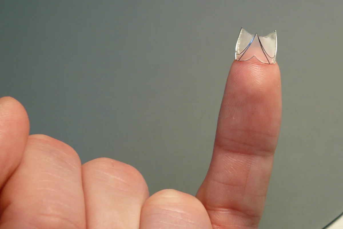 One of Fraunhofer's artificial venous valves