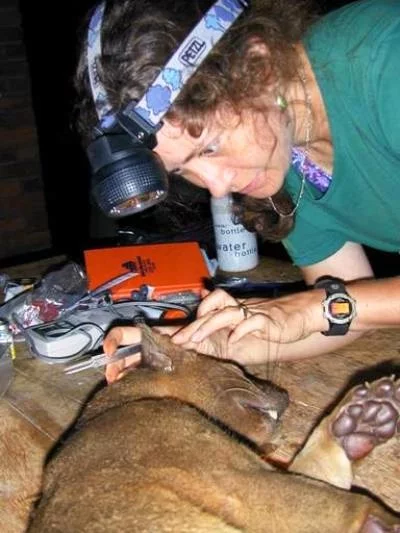 Earthwatch's "Carnivores of Madagascar" expedition (Photo: Luke Dollar)