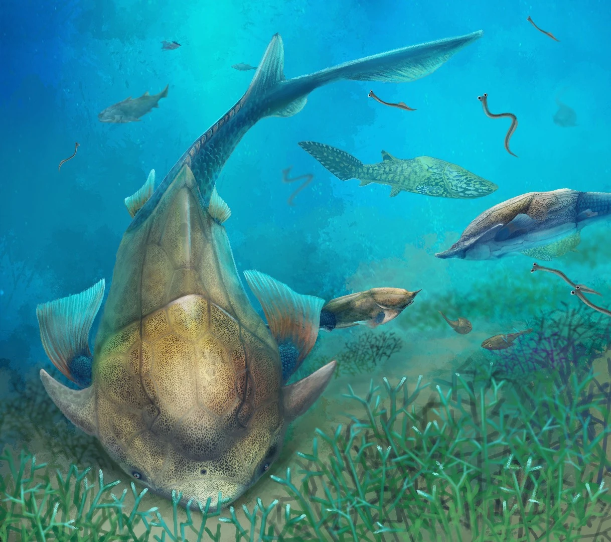 The Qilinyu had a dolphin-shaped head and lived at the bottom of the sea