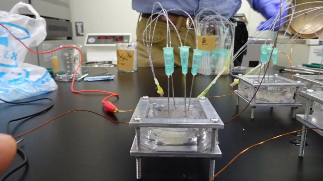One of the units containing the electricity-generating organ from the torpedo fish, with syringes that inject acetylcholine to stimulate it