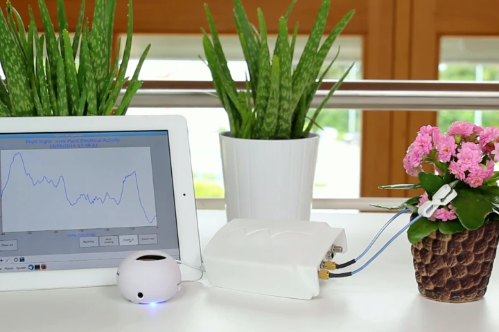 The Phytl Signs device picks up the tiny electrical signals emitted by plants