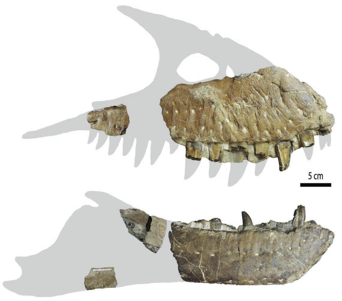Thanatotheristes jawbones