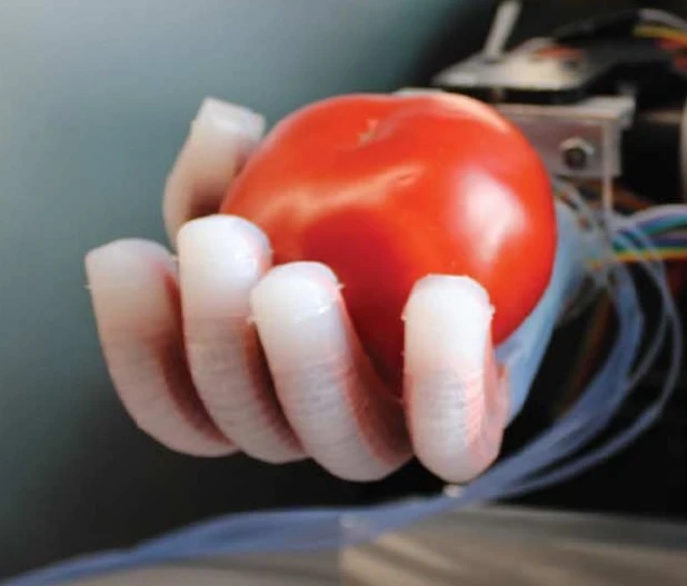 The researchers used the hand to carry out a number of tasks, such as holding an object with an appropriate amount of pressure and feeling an object to determine shape and texture
