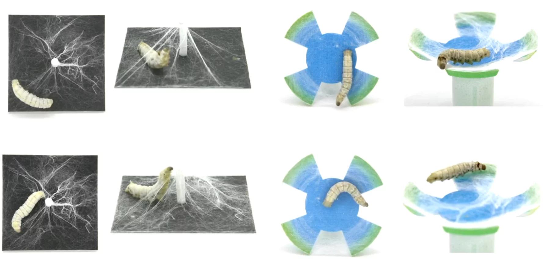 The Mediated Matter Group conducted a series of other experiments with silkworms (Video still: Mediated Matter Group)
