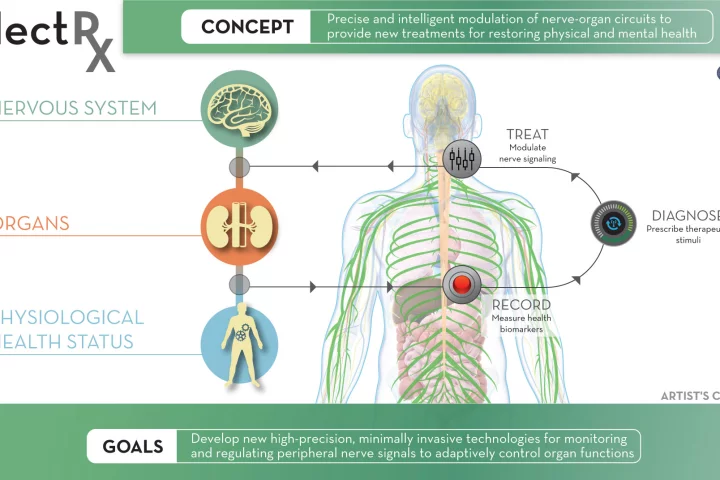 DARPA's ElectRx program (Electric Prescriptions) is funding research into tiny embedded devices that can monitor conditions inside the body and stimulate particular nerves in response, enhancing the body's self-healing abilities.