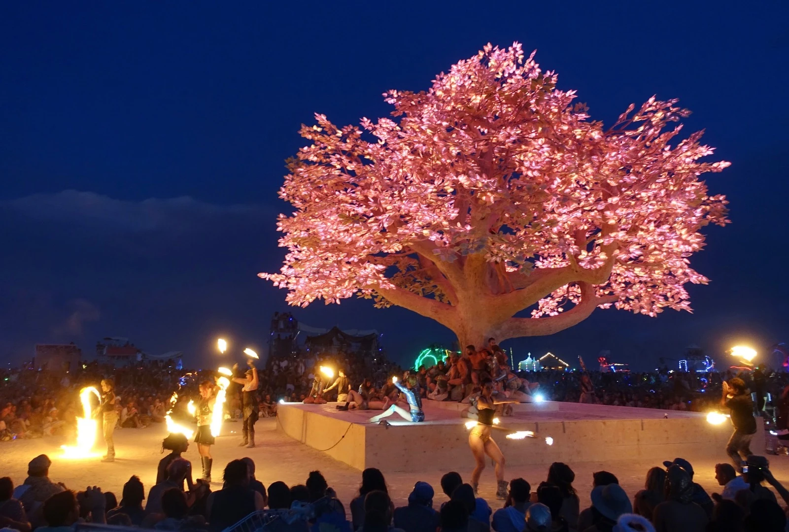 Called the Tree of Tenere, this tree contains leaves of LED lights, each light programmable to display different colors and patterns