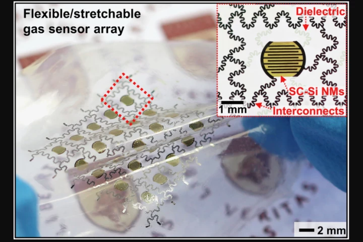 A batch of the biodegradable, biocompatible sensors