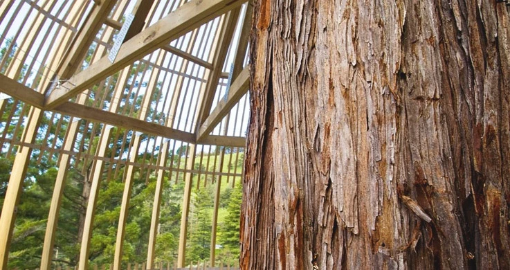 The Architectural component embodies a simple pod-like form that appears to be “organically” wrapped around the tree trunk