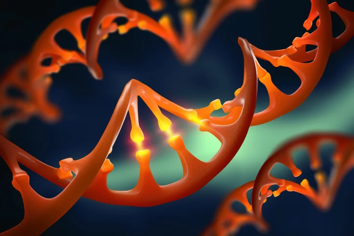 CRISPR is known to fail about 15 percent of the time and a new study has uncovered why this happens and how it can be fixed