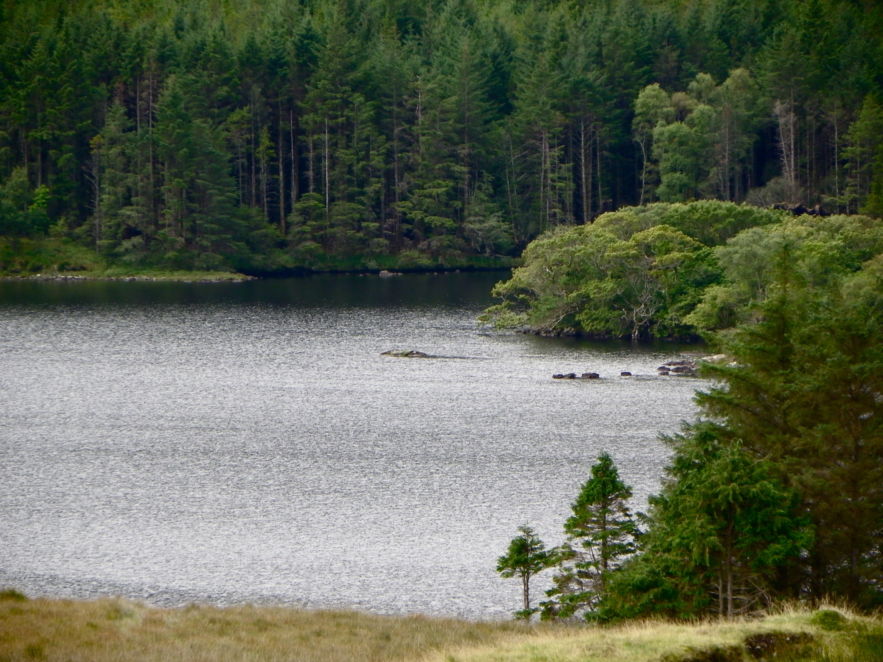 Before: a lake with islands and rocks (Photo: Gizmag)