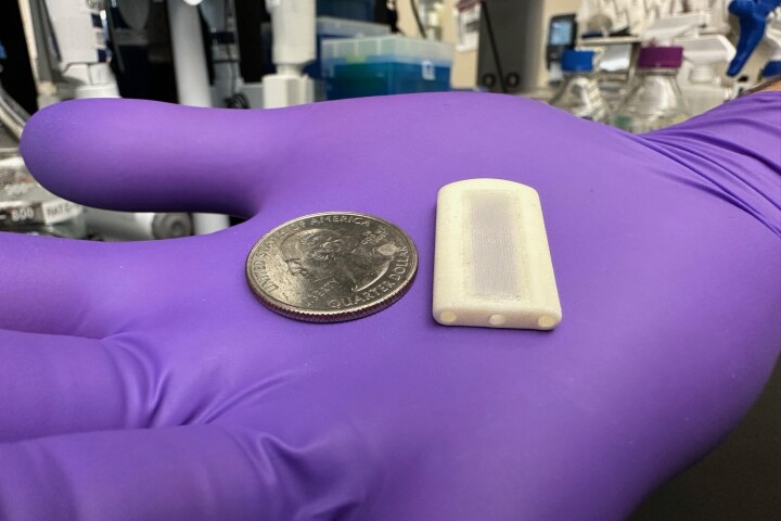 The prototype NICHE implant, with a US quarter for scale – a mesh top on its inner reservoir allows blood vessels to grow into it