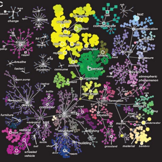 One of the multidimensional maps showing the more than 1,700 visual categories and their relationships to one another.