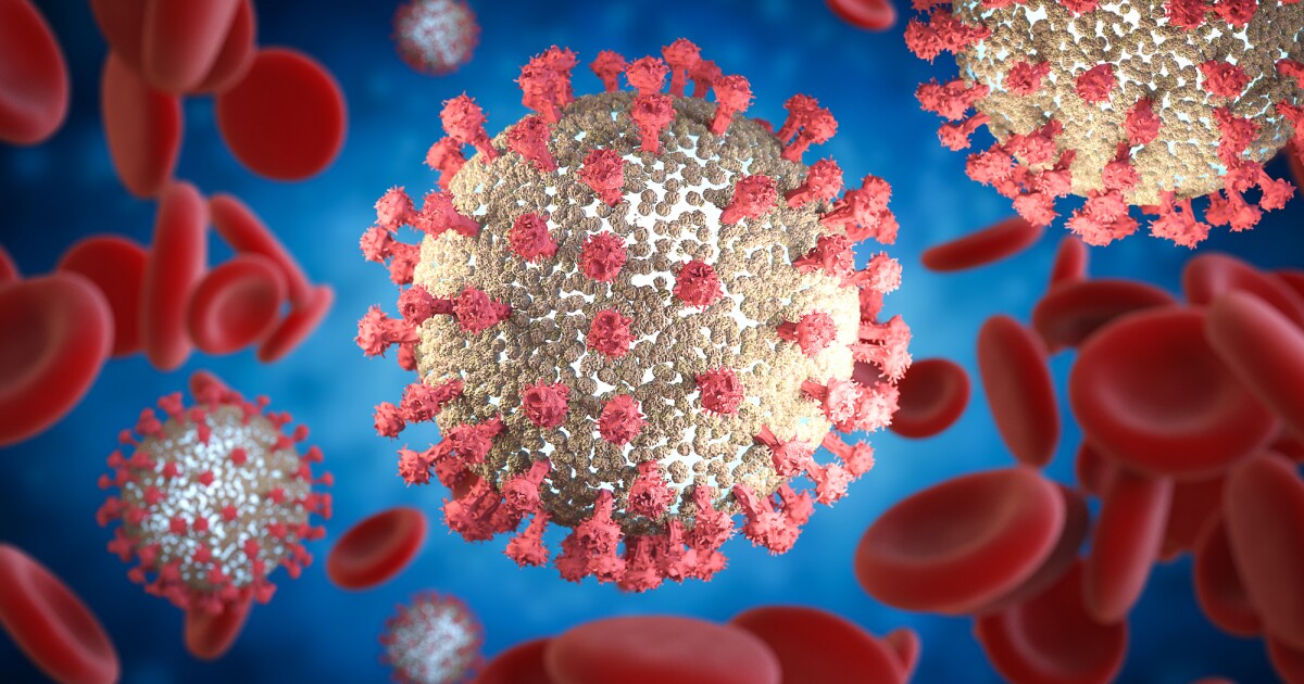 Simple blood test predicts patients most likely to die from COVID-19 Simple blood test predicts patients most likely to die from COVID-19