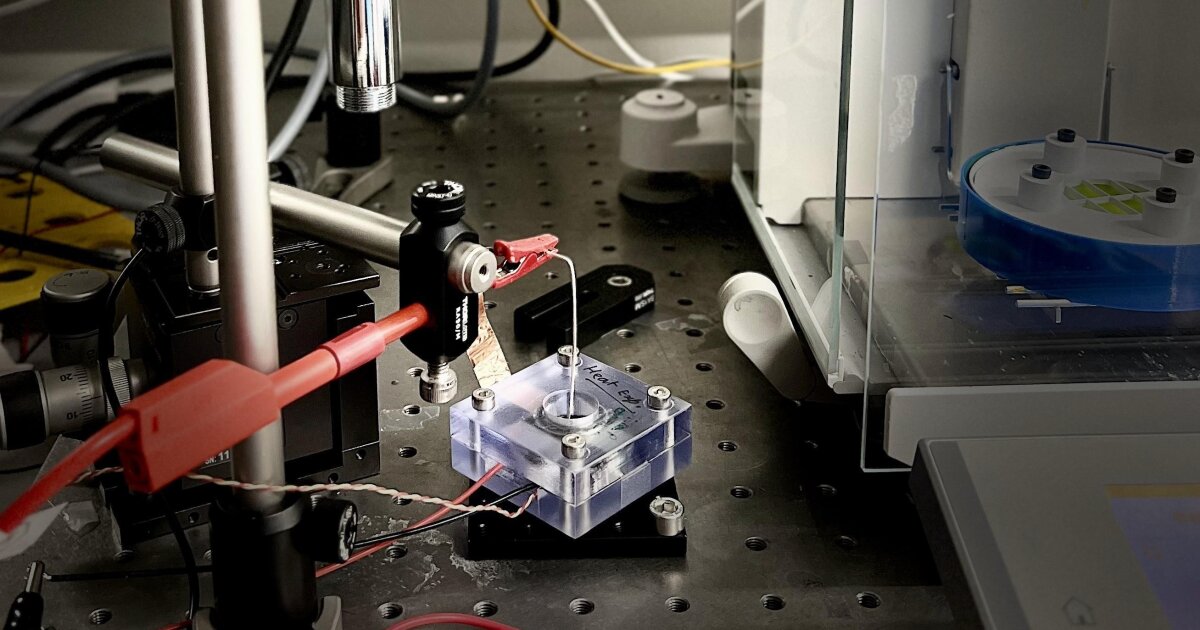 Nanogenerator harvests electricity from evaporating seawater