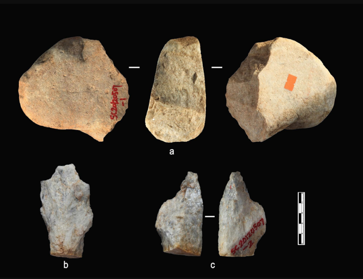 The team discovered bones and stone tools, including a notch, scrapers, cobble, hammer stones and pointed pieces