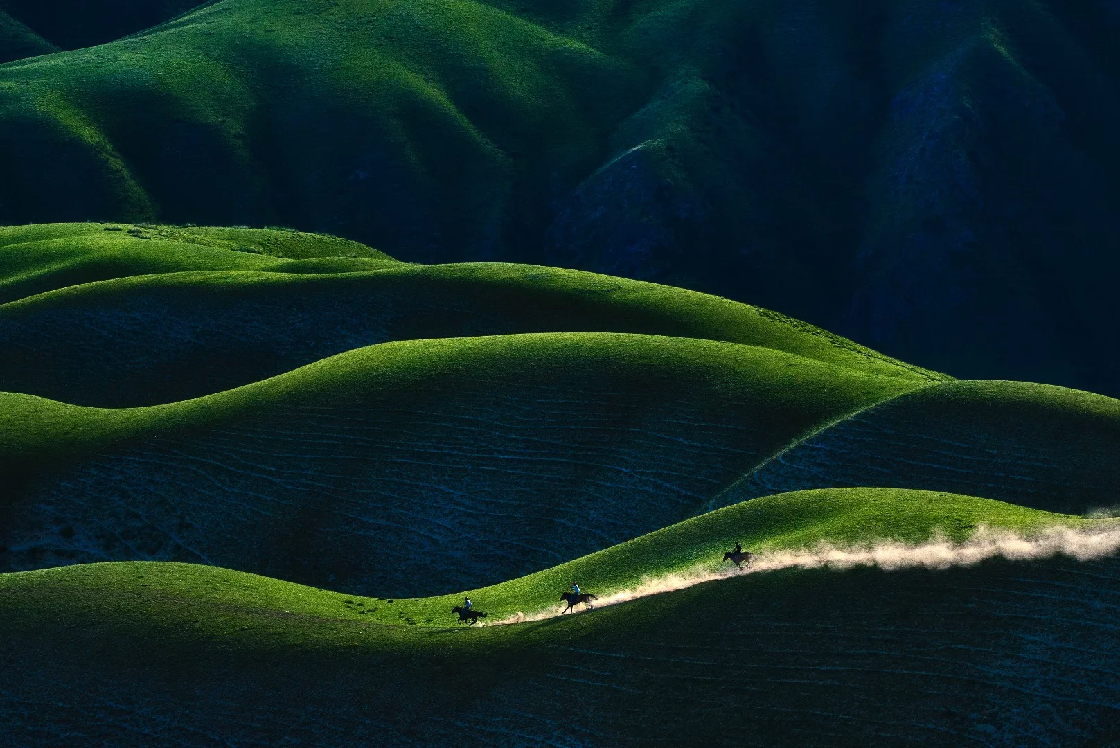 A handful of shepherds chasing horses on a hill, Xinjing, China