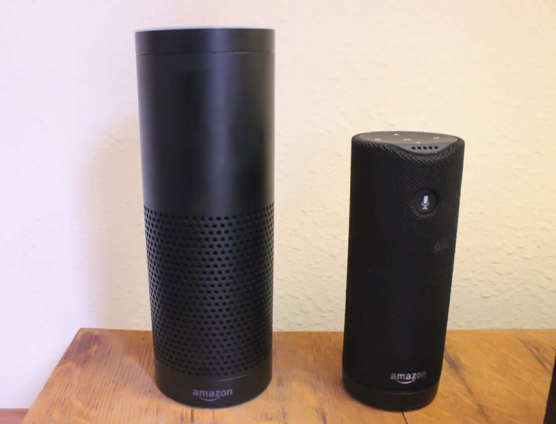 Tap and its elder sibling, Echo