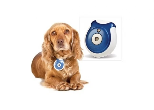 Pet's Eye View Camera keeps a record of all the mischief your pet gets up to when you're not home