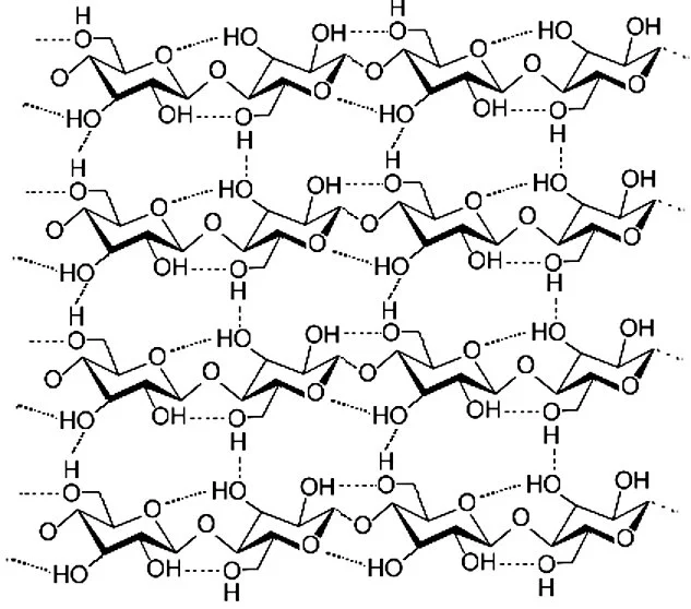 Four cellulose molecules held in a crystalline structure by intermolecular hydrogen bonds (dotted lines) (Image: I. Laghi)
