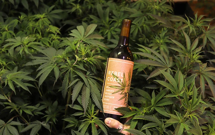 Rebel Coast Winery has produced the world's first alcohol-free, THC-loaded white wine