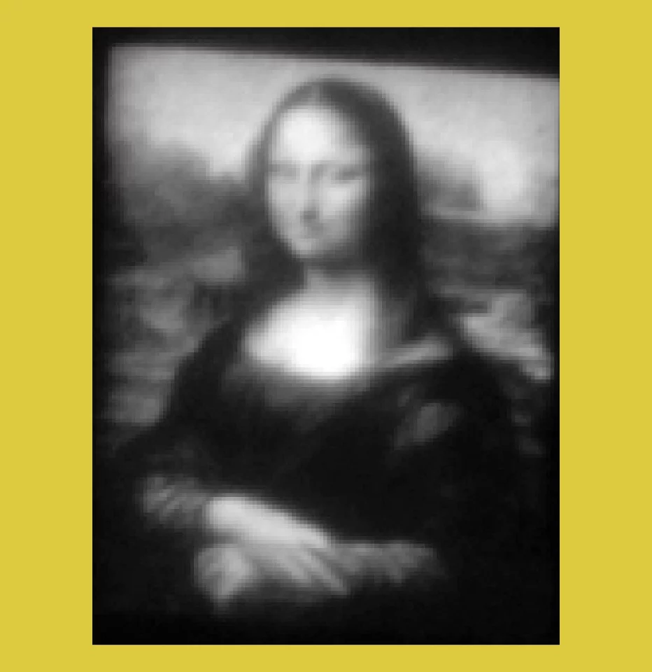 Mini Lisa is a 30 x 40 micron gray-scale QVGA rendering of Leonardo's Mona Lisa
