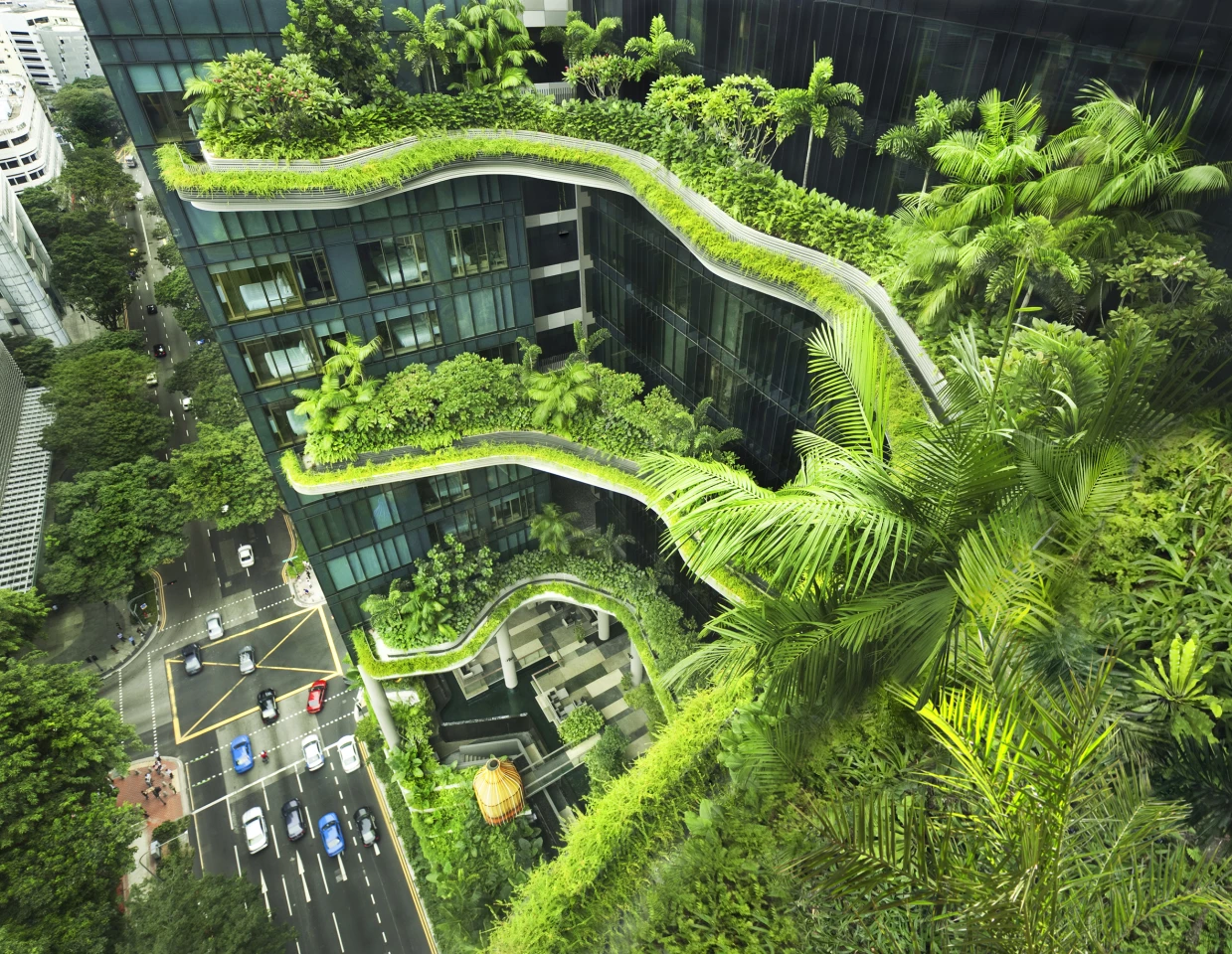 Park Royal Hotel, Singapore, by WOHA (Photo: Patrick Bingham Hall)