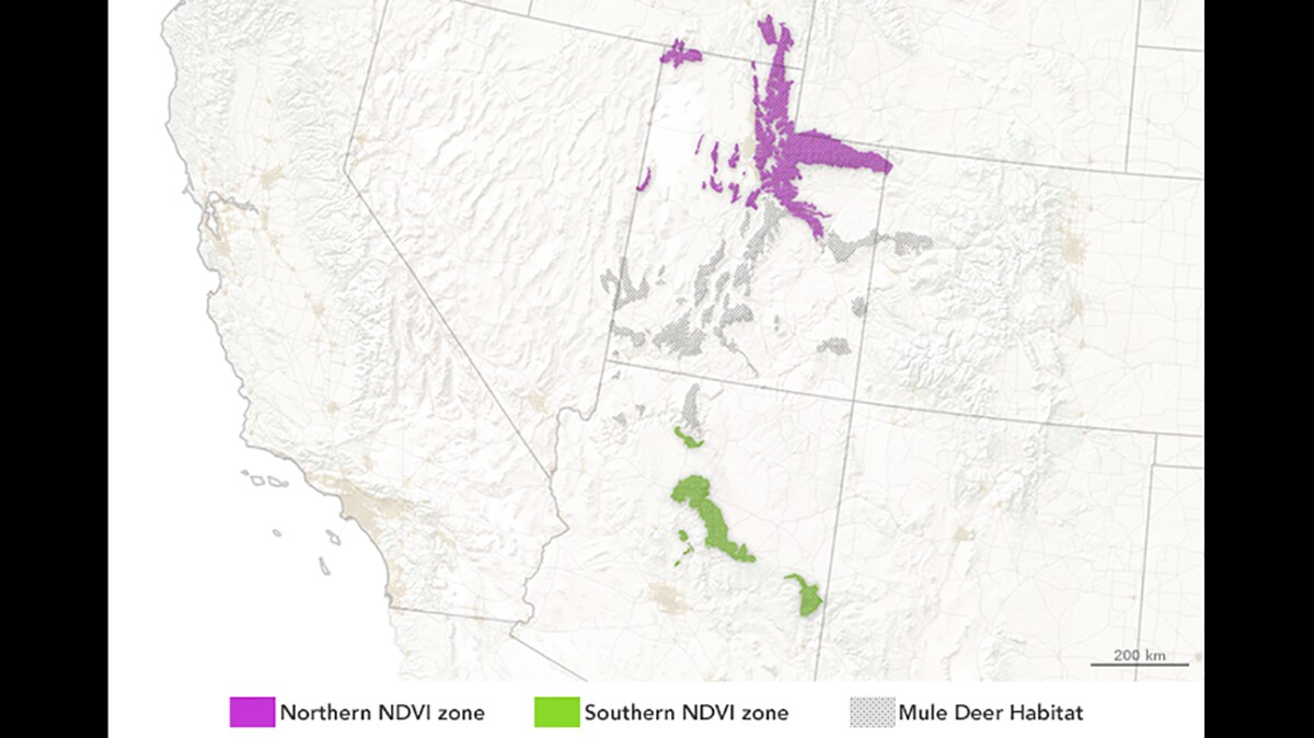 The project makes use of a system designed to track the health of vegetation, known as the Normalized Difference Vegetation Index (NDVI)