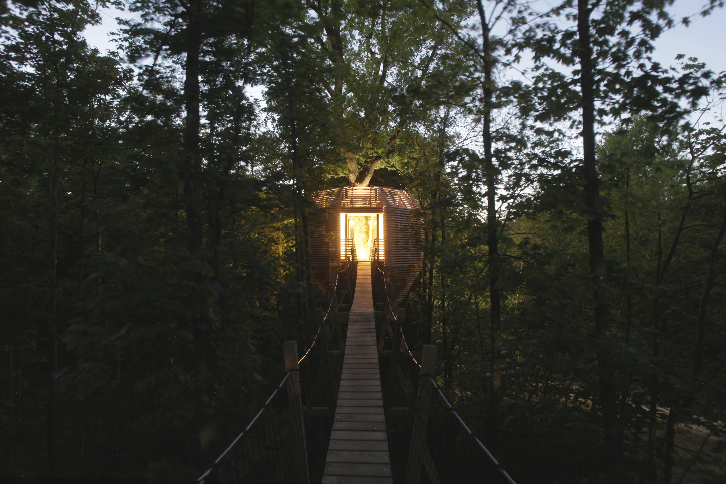 A 10 meter (33 ft) wooden suspended bridge leading directly to the Origin Treehouse