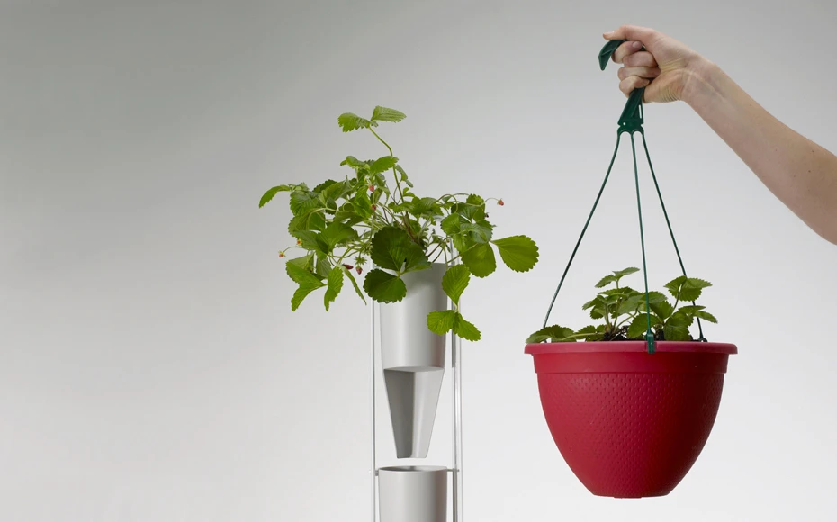 A new variation on the hanging basket - the Windowfarms indoor vertical farm