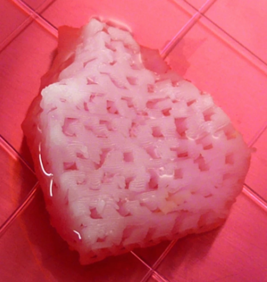 The researchers will continue to explore the bioprinting to track longer term results