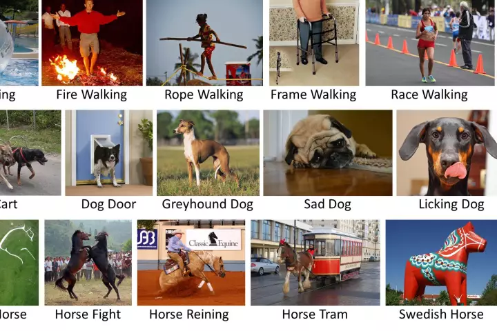 LEVAN learns by associating words with images