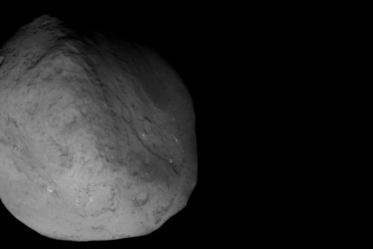 NASA's Stardust NExT mission image of the comet Tempel 1 at 8.39pm PST on February 14th 2011 (Credit: NASA)