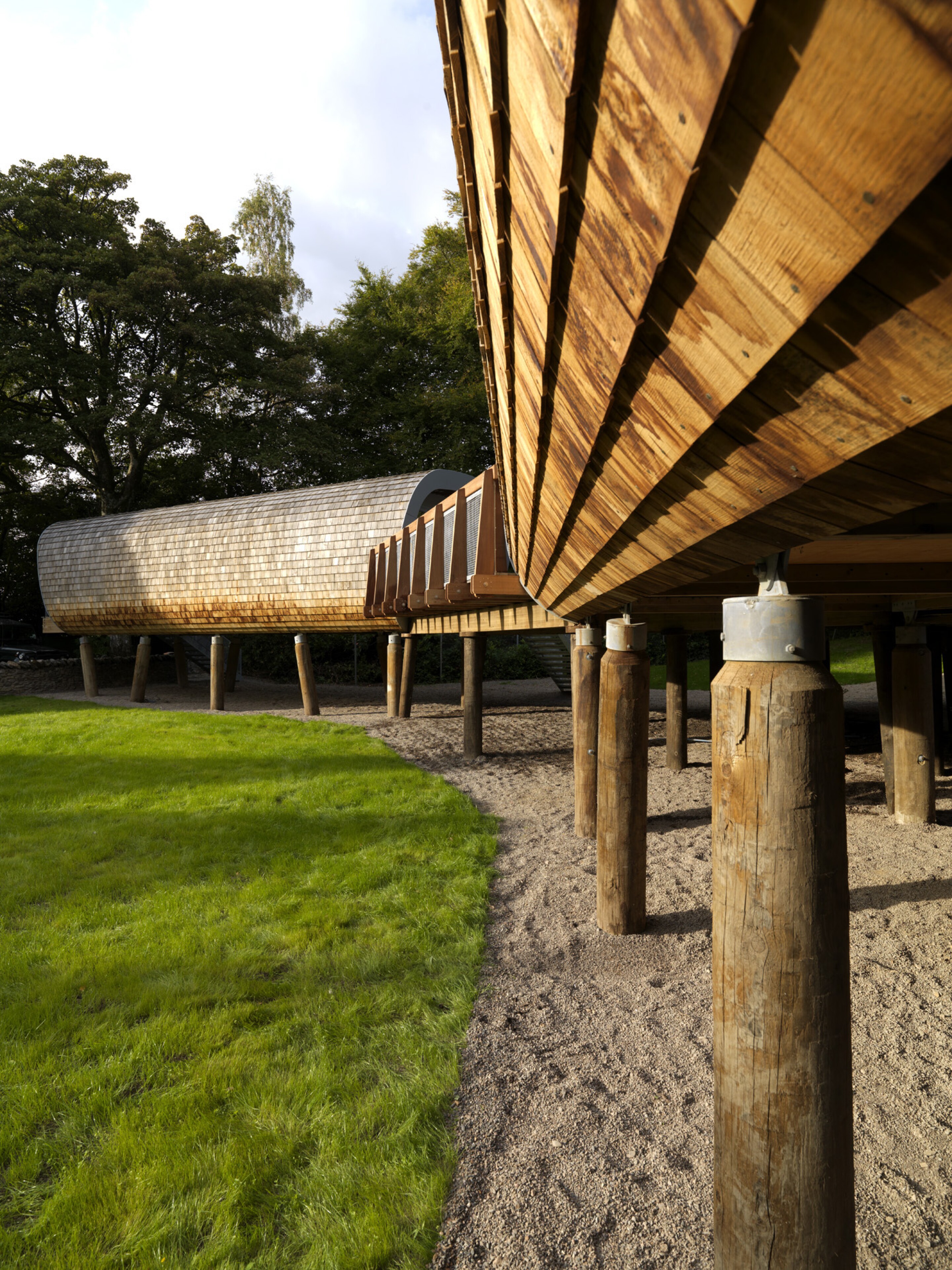 Деревянные сваи в воде