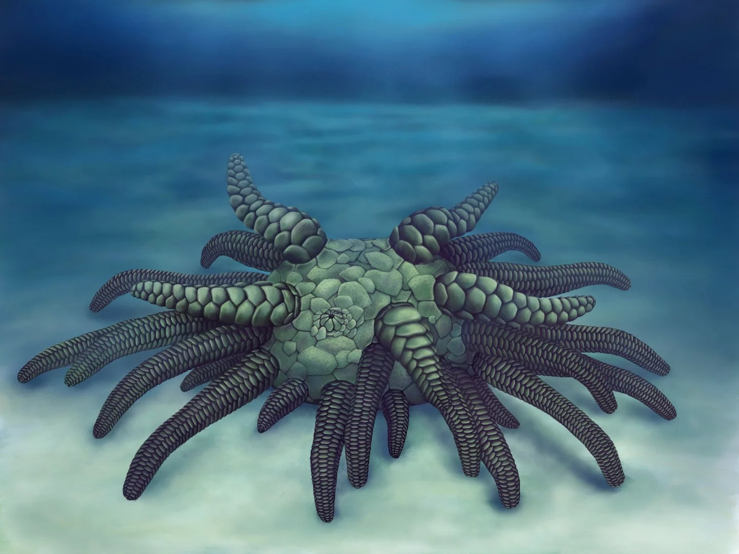 An artist's rendition of the new species, named Sollasina cthulhu after H.P. Lovecraft's mythical beast