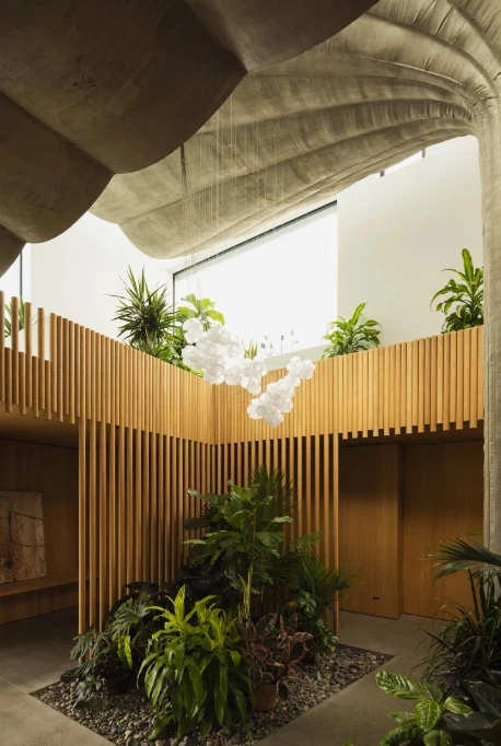 Indoor plants compliment the concrete and timber interior